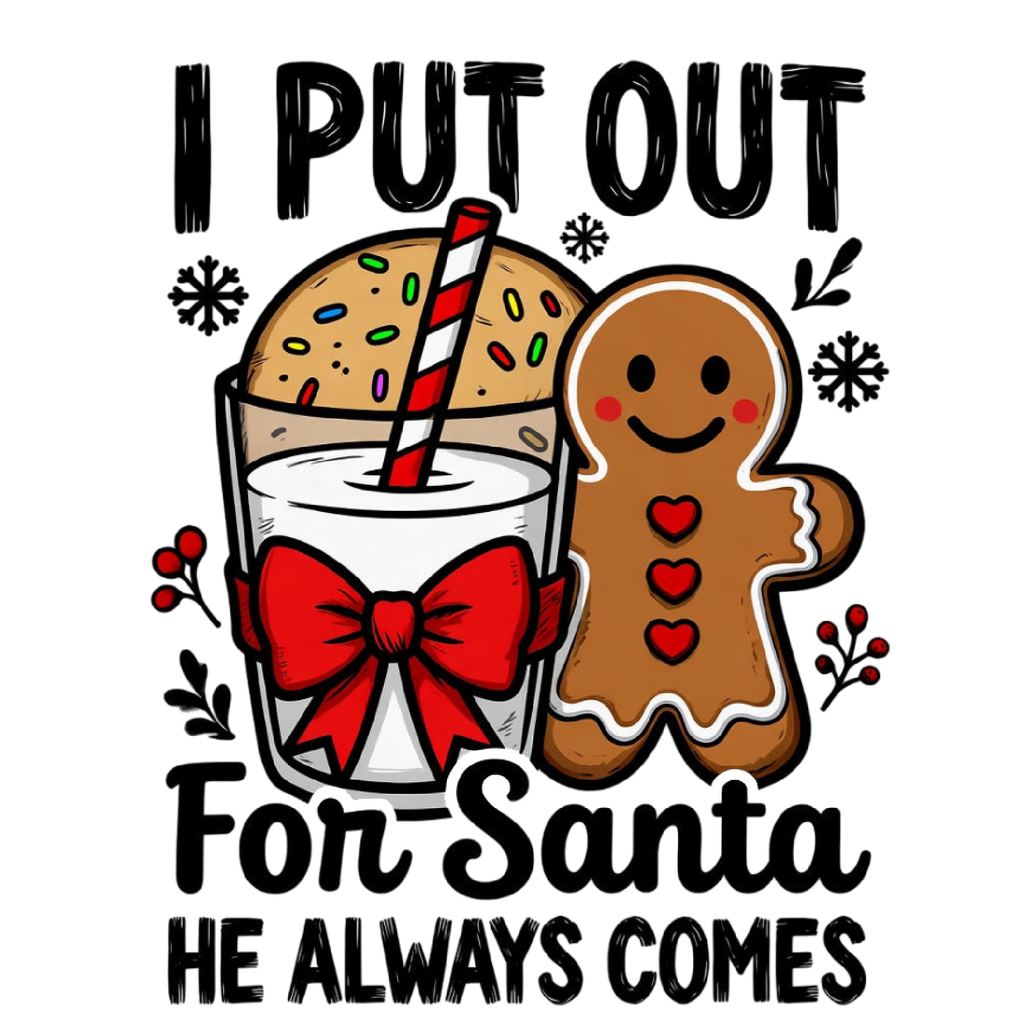 Adult Unisex "I Put out for Santa"